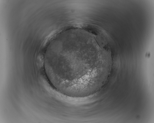 X0000112460043200908241309