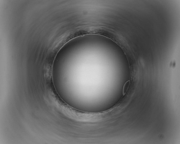 X0000112460044200908241309