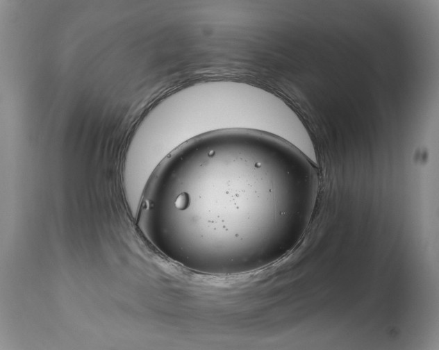 X0000112460045200908241309