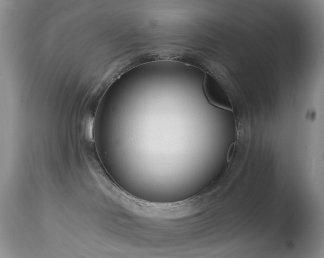 X0000112460046200908241309