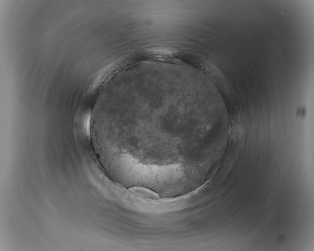 X0000112460047200908241309