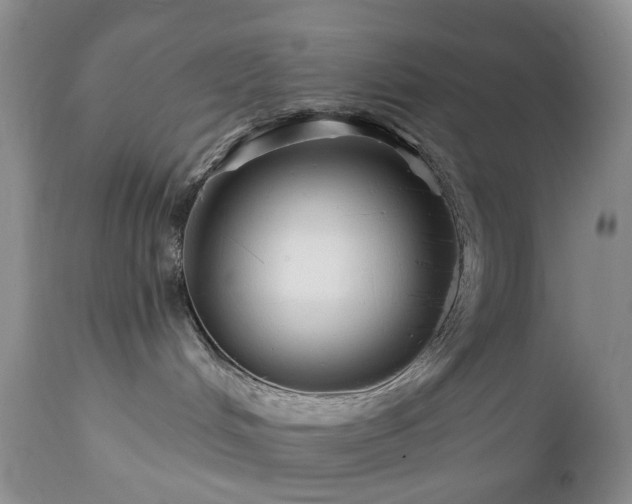 X0000112460048200908241309