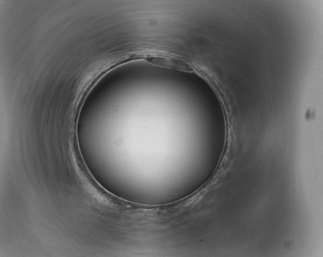 X0000112460049200908241308