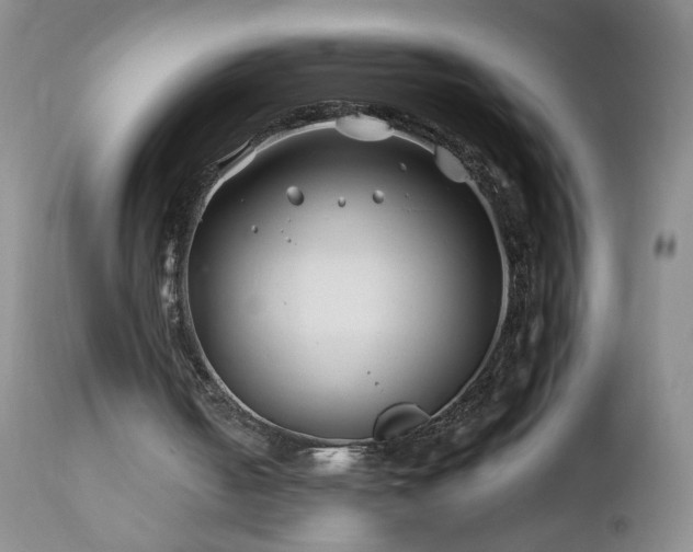 X0000112460050200908241308