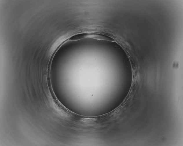 X0000112460051200908241308