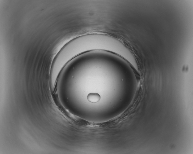 X0000112460052200908241308