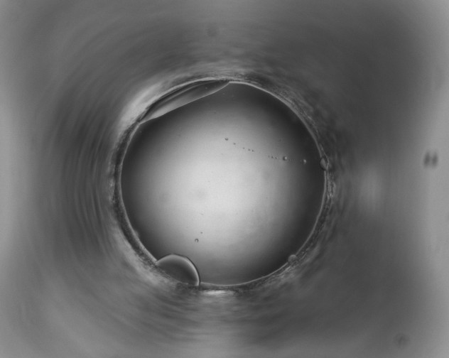 X0000112460053200908241308