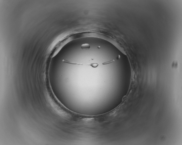 X0000112460054200908241308