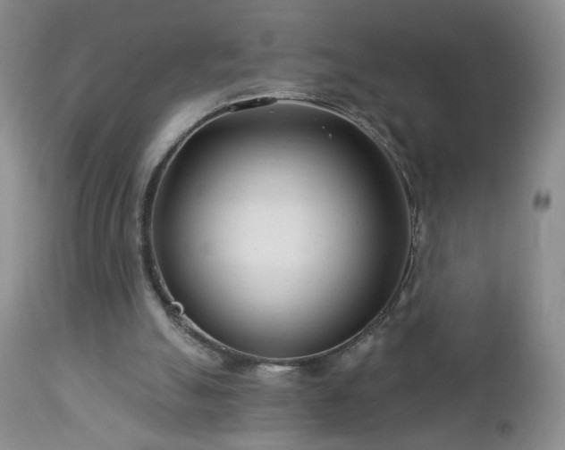 X0000112460055200908241308