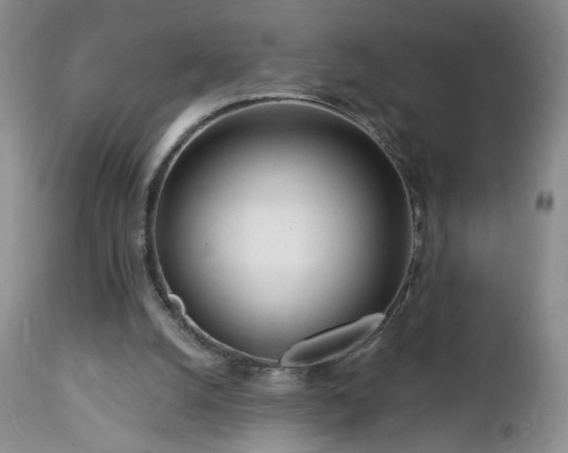 X0000112460056200908241308