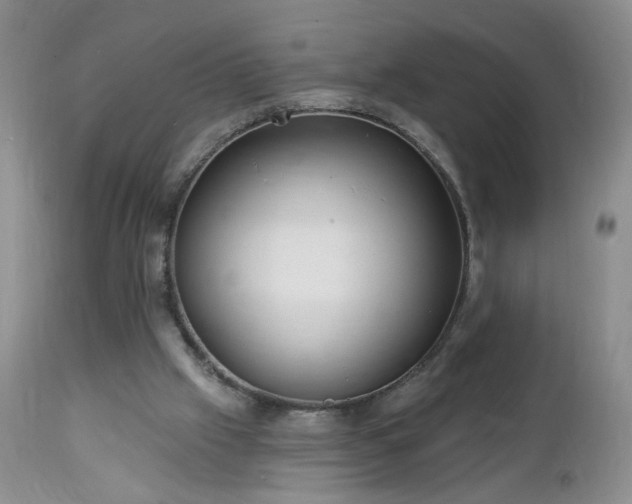 X0000112460057200908241308