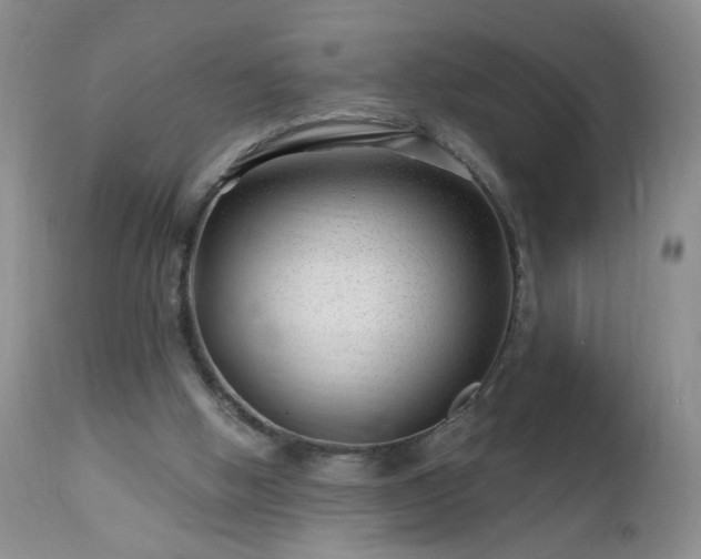 X0000112460058200908241308