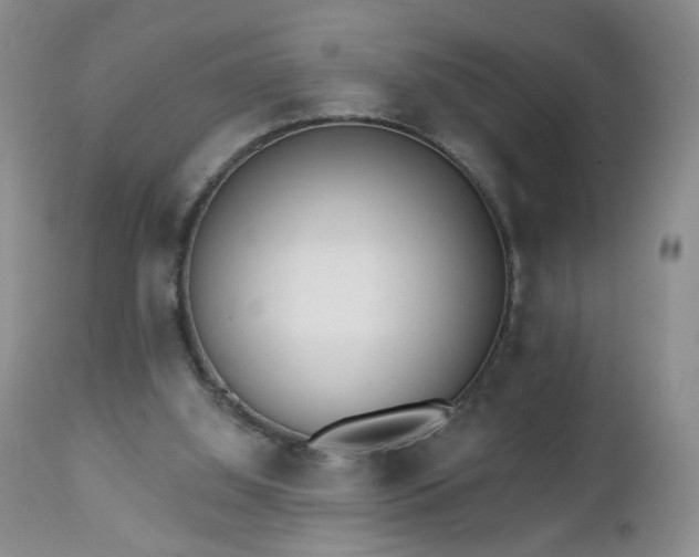 X0000112460060200908241308