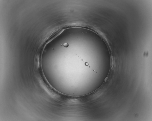 X0000112460061200908241308