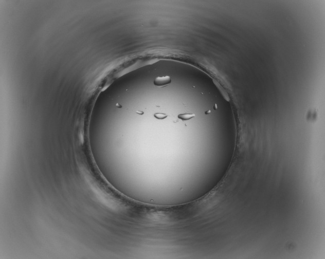 X0000112460062200908241308