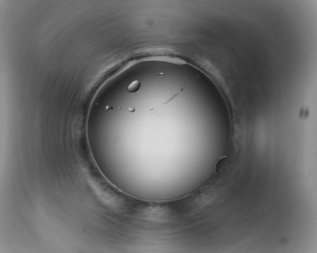 X0000112460063200908241308