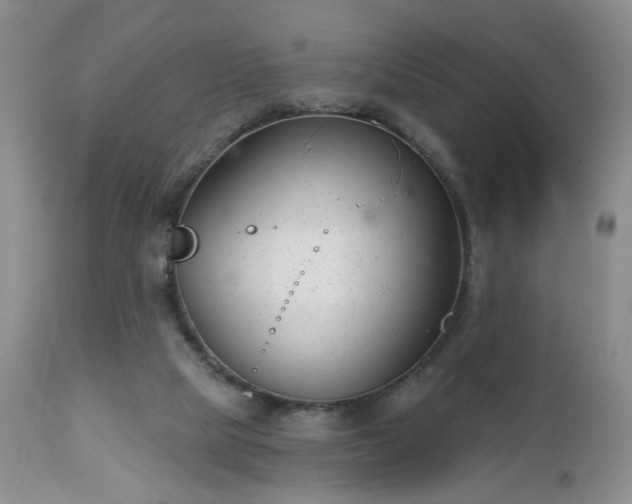 X0000112460065200908241308