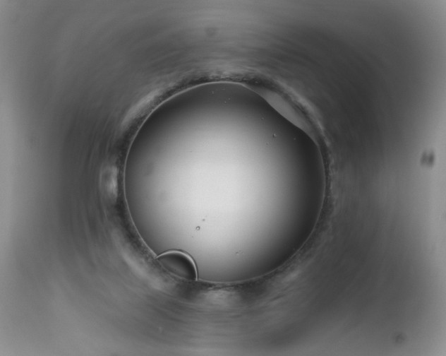 X0000112460067200908241308