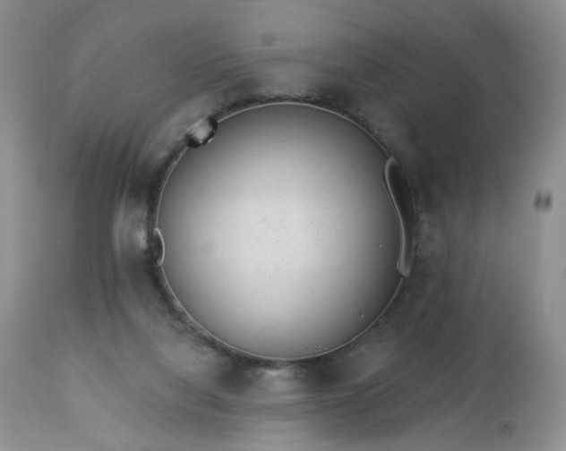 X0000112460068200908241308