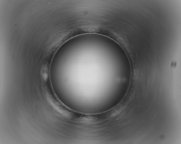 X0000112460069200908241308