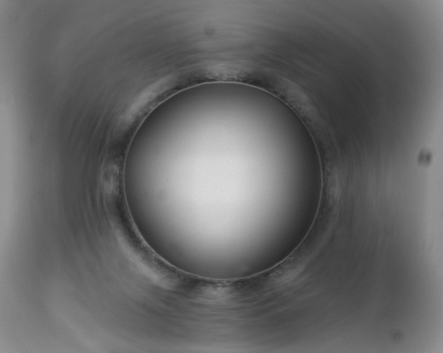 X0000112460071200908241309