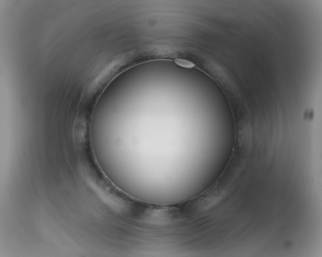 X0000112460072200908241309