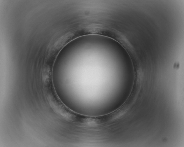 X0000112460073200908241309