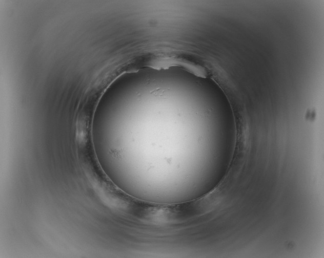 X0000112460074200908241309