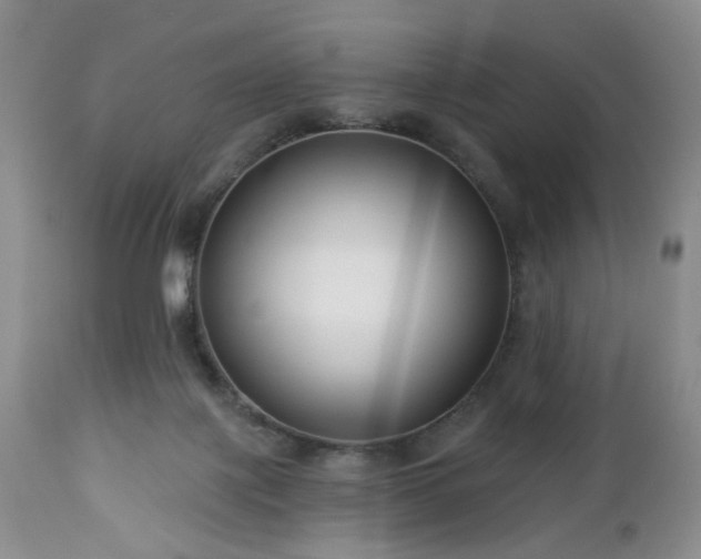 X0000112460075200908241309