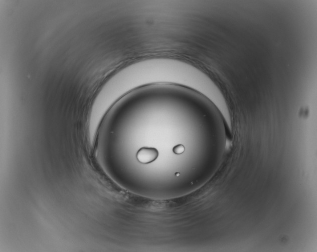 X0000112460076200908241309