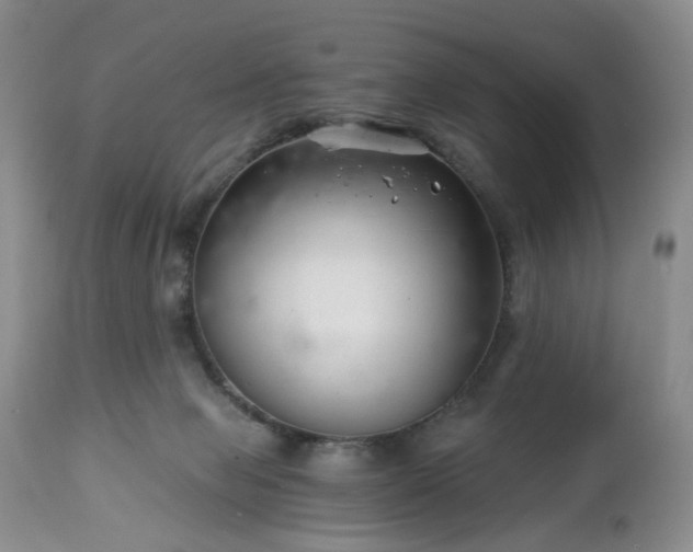 X0000112460077200908241309