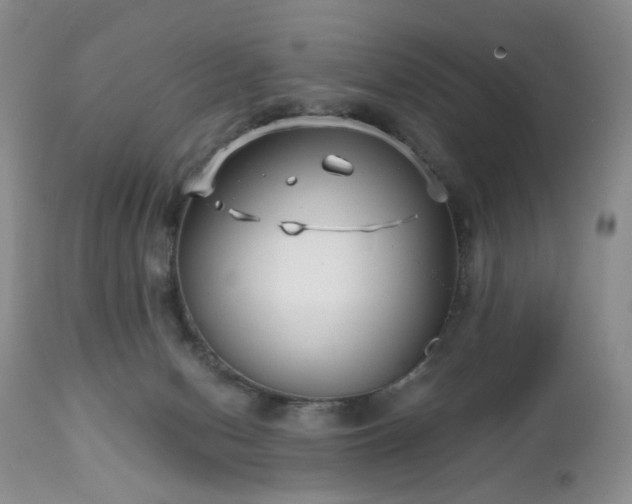 X0000112460078200908241309