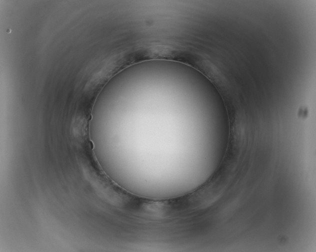 X0000112460079200908241309