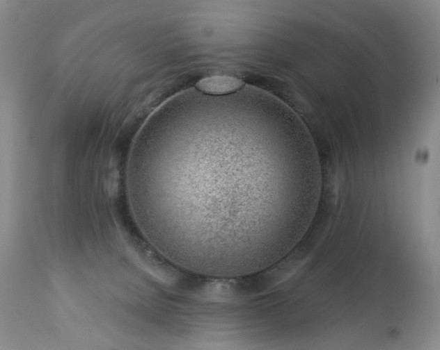 X0000112460080200908241309