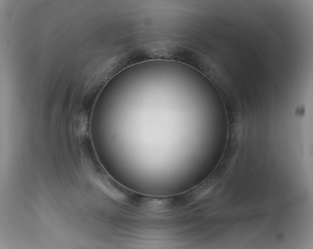 X0000112460081200908241309