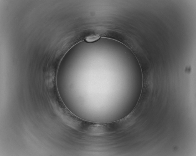 X0000112460082200908241309