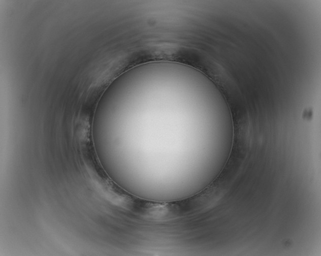 X0000112460083200908241309