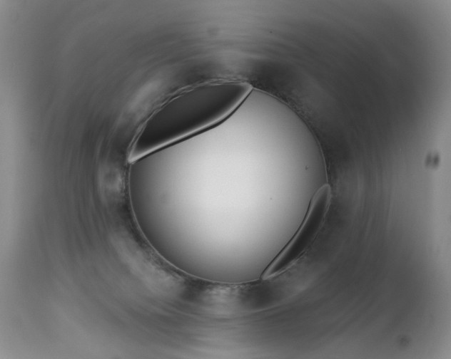 X0000112460084200908241309