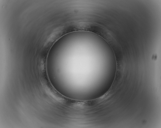 X0000112460086200908241309