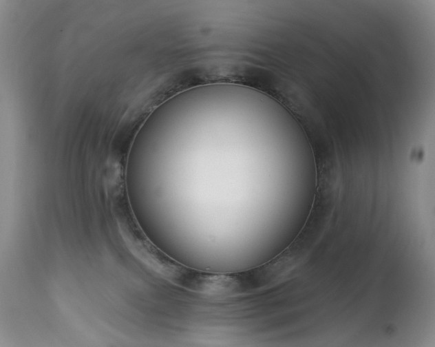 X0000112460087200908241309