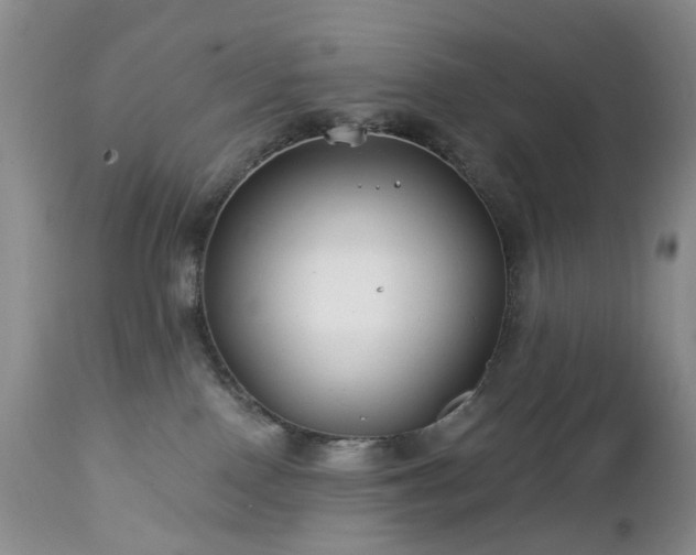 X0000112460090200908241309