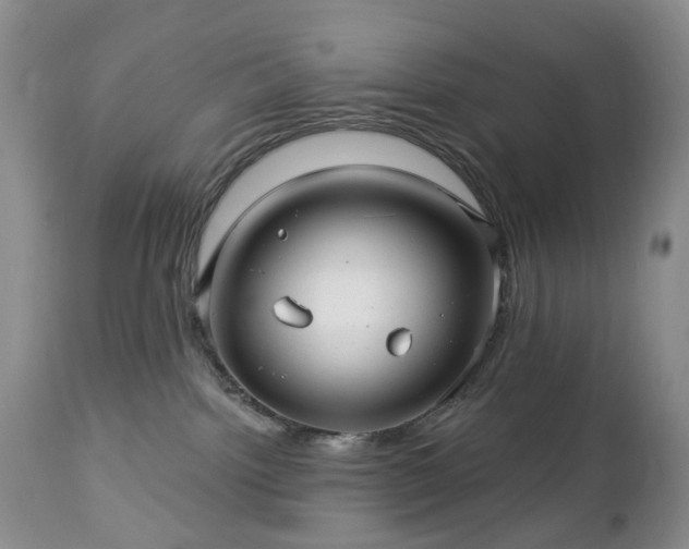 X0000112460092200908241309