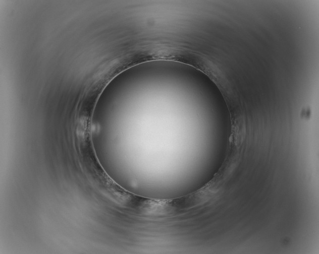 X0000112460093200908241309