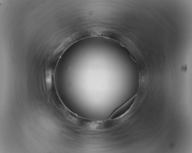 X0000112460094200908241309