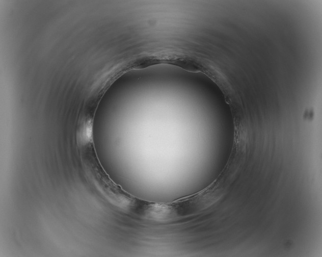 X0000112460095200908241309