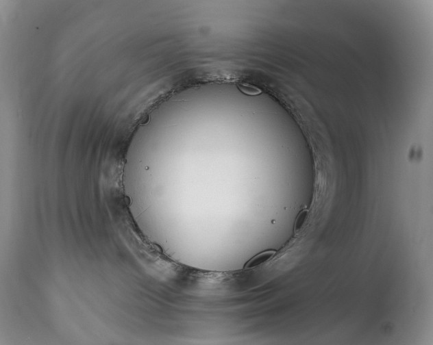 X0000112460096200908241309