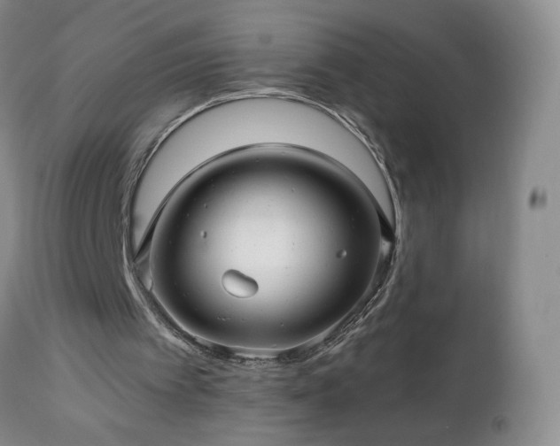 X0000112460097200908241308