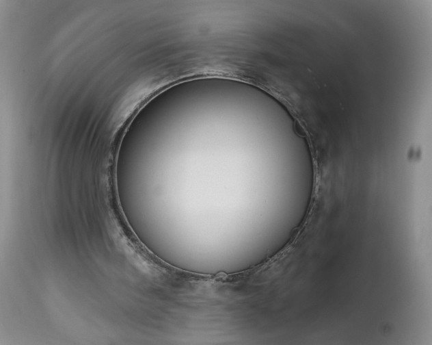 X0000112460098200908241308