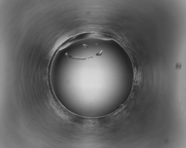 X0000112460099200908241308