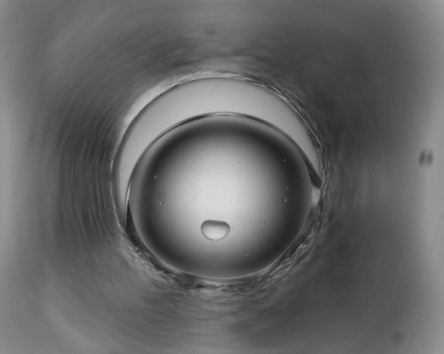 X0000112460100200908241308